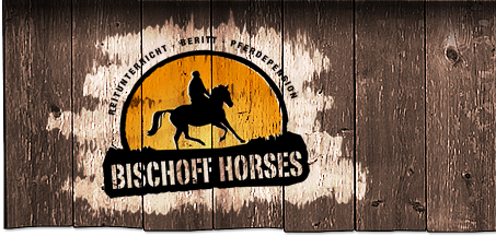 Bischoff Horses Logo